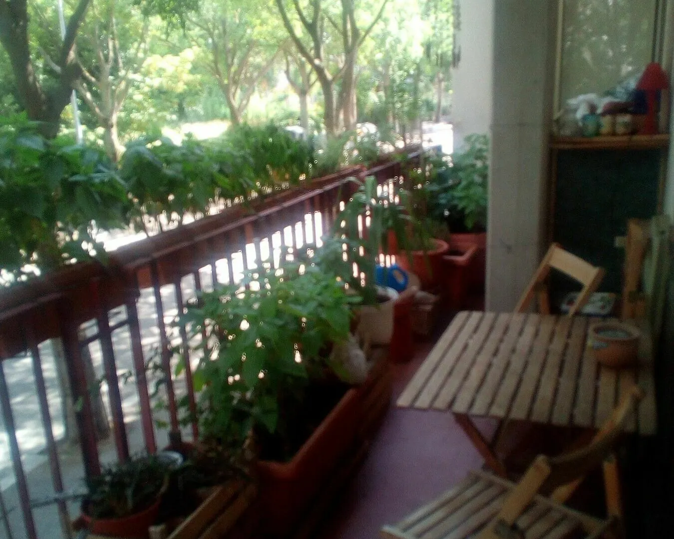 ريميني B&B Acquario - Only Rooms فندق مبيت وإفطار